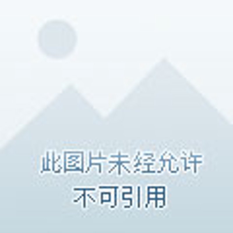 2023年中国餐饮行业的数据揭示了哪些趋势？